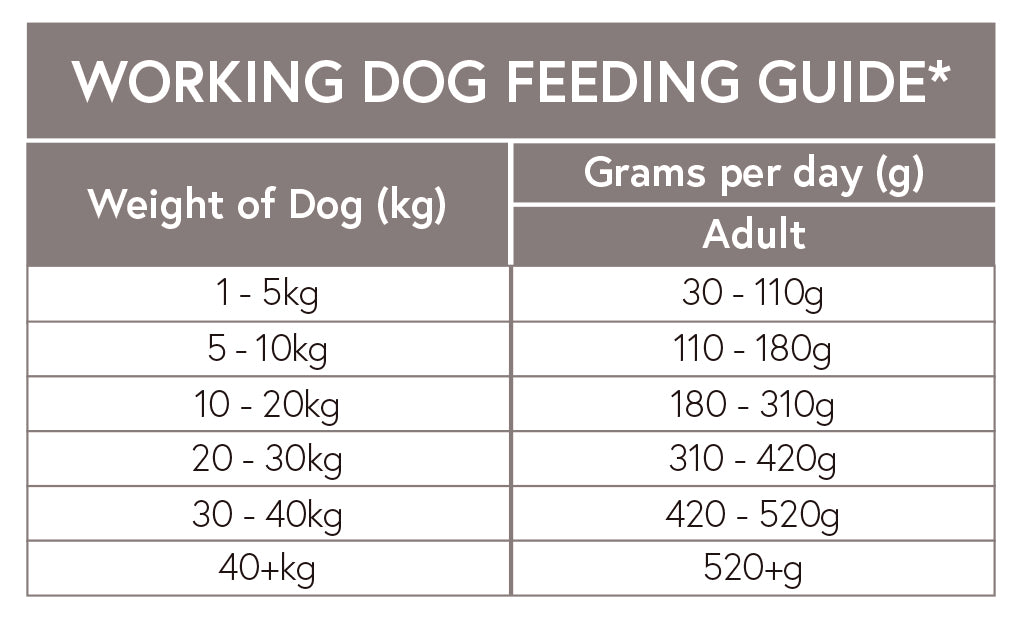 Grain Free Adult Dog Chicken with Sweet Potato & Herbs for Working Dogs - 15kg