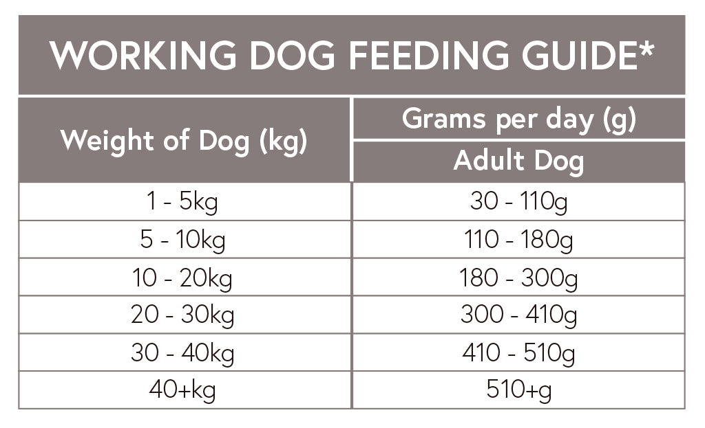 GRAIN FREE Adult Duck with Sweet Potato & Orange for Working Dogs - 15kg