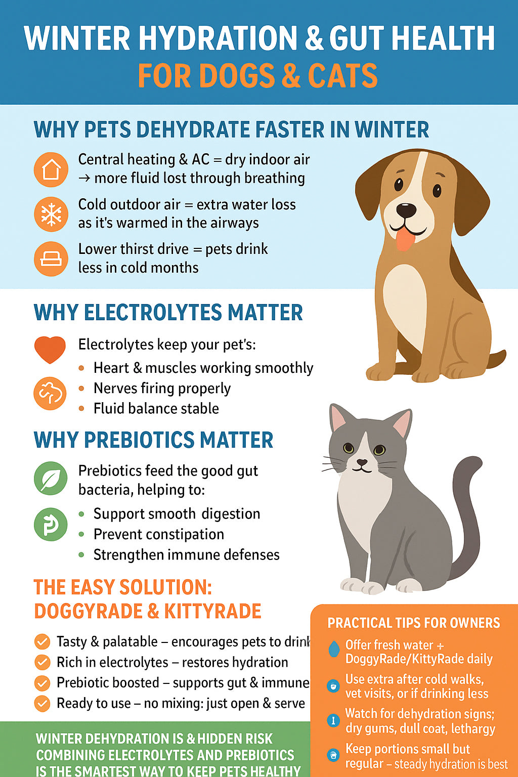 Winter tips to keep your pet healthy