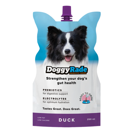Duck Prebiotic Drink for Dogs - 250ml