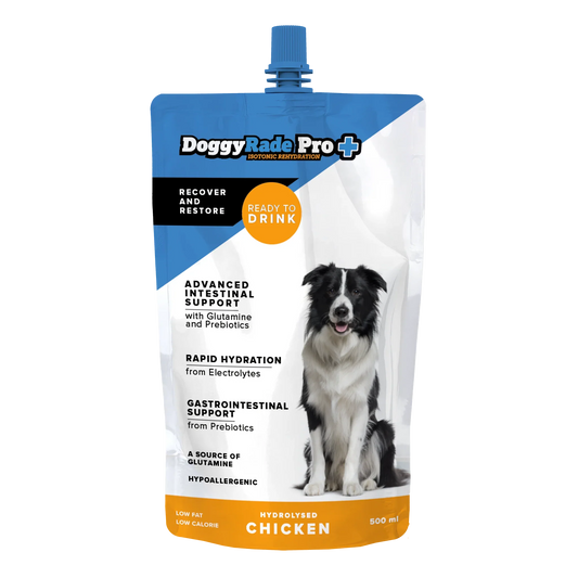 PRO + Chicken - Advanced intestinal support & Recovery Drink for Dogs - 500ml