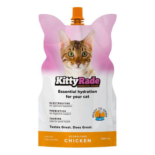 KittyRade Chicken Prebiotic drink for Cats