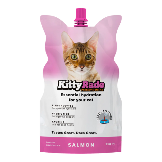 KittyRade Salmon Prebiotic drink for Cats