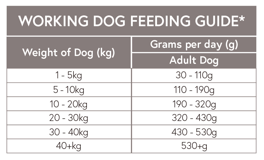 Grain Free Adult Dog Turkey with Sweet Potato & Cranberry forWorking Dogs - 15kg